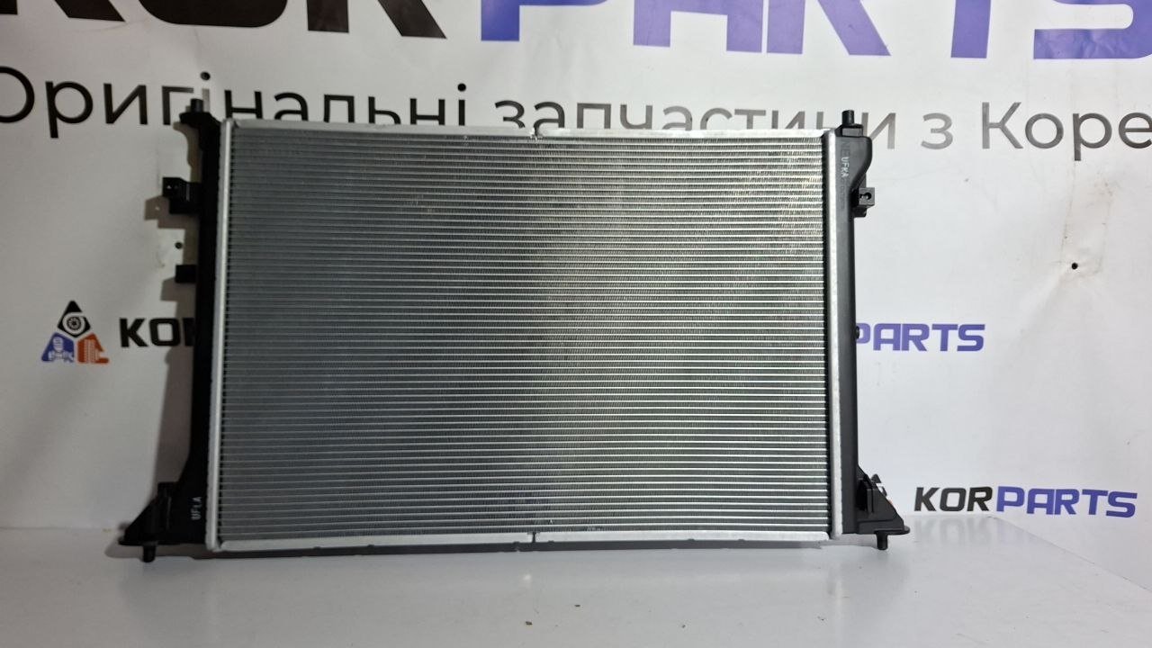 0m1g0gxjk1l1avkdk9kkh6zon5grhww7 Hyundai IONIQ 5 RADIATOR ASSY-POWER ELECTRIC Радіатор силової електроніки 253e0gi000 - Зображення 1